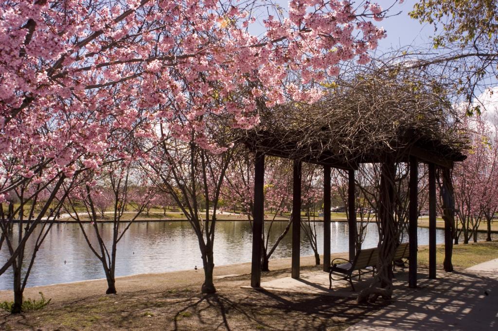 Lake Balboa